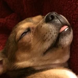 Meet your Posher, Jacob